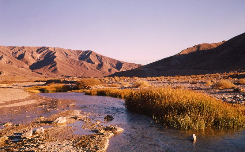 Amargosa River